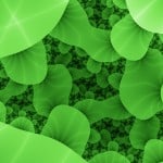 bacteria947313_28482565
