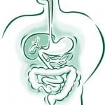 naturopath vancouver digestion